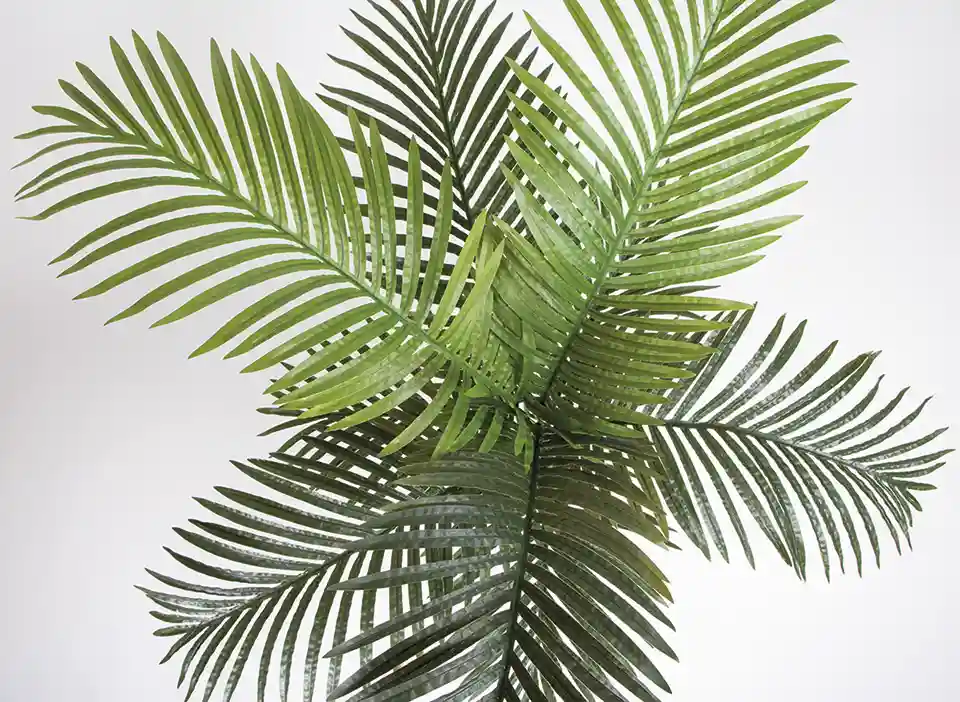 Planta Artificial Palmera 180 cm 2 Planta artificial Palmera 180 cm Nortene