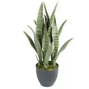 Planta artificial Sansevieria 70 cm 860x860