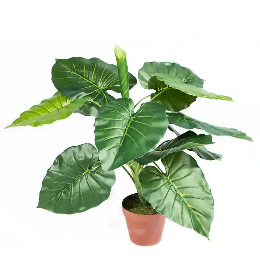 Planta artifical Taro 73 cm 1 Planta artificial Taro 73 cm