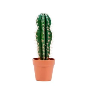 Planta artificial cactus stetsonya 43 cm