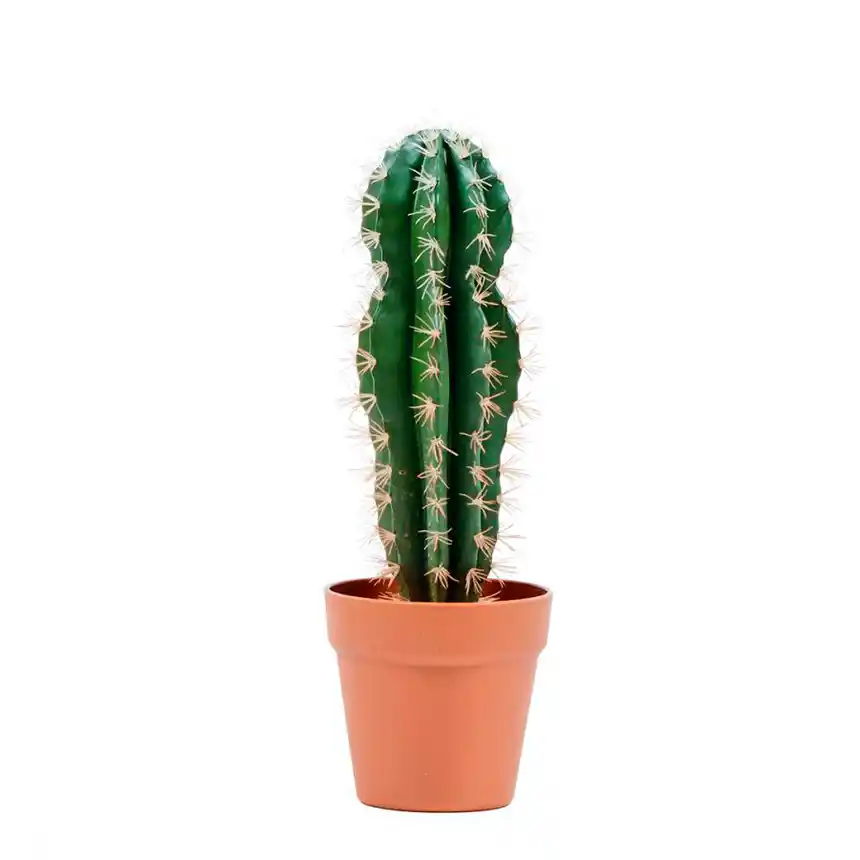 Cactus Artificial Stetsonia Coryne 43 cm 1 Planta artificial cactus stetsonya 43 cm