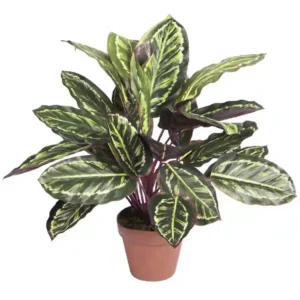 Planta artificial calatea cebra 49 cm