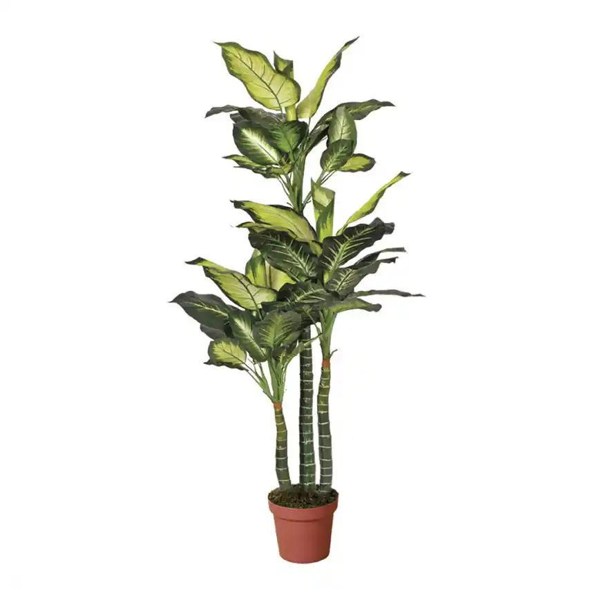 Planta Artificial Pata de Elefante 150 cm 1 Planta artificial pata de elefante 150 cm