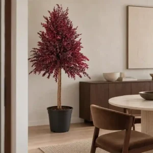 Planta perservada eucalyptus rojo Nortene 001