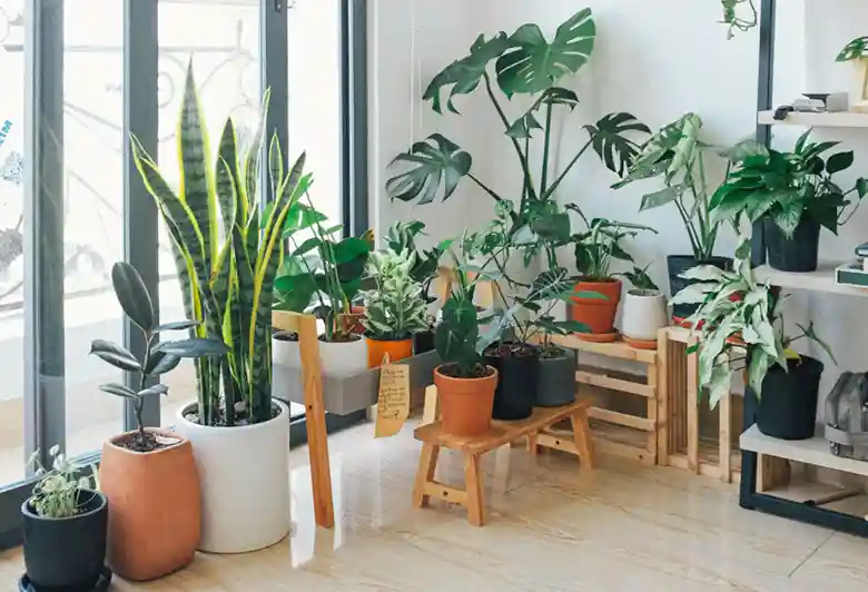 Qué plantas artificiales parecen más realistas
