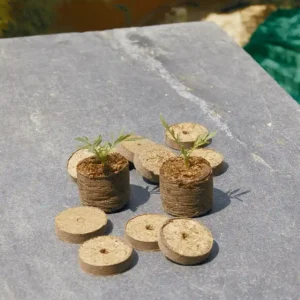 Semillero Coco Tab