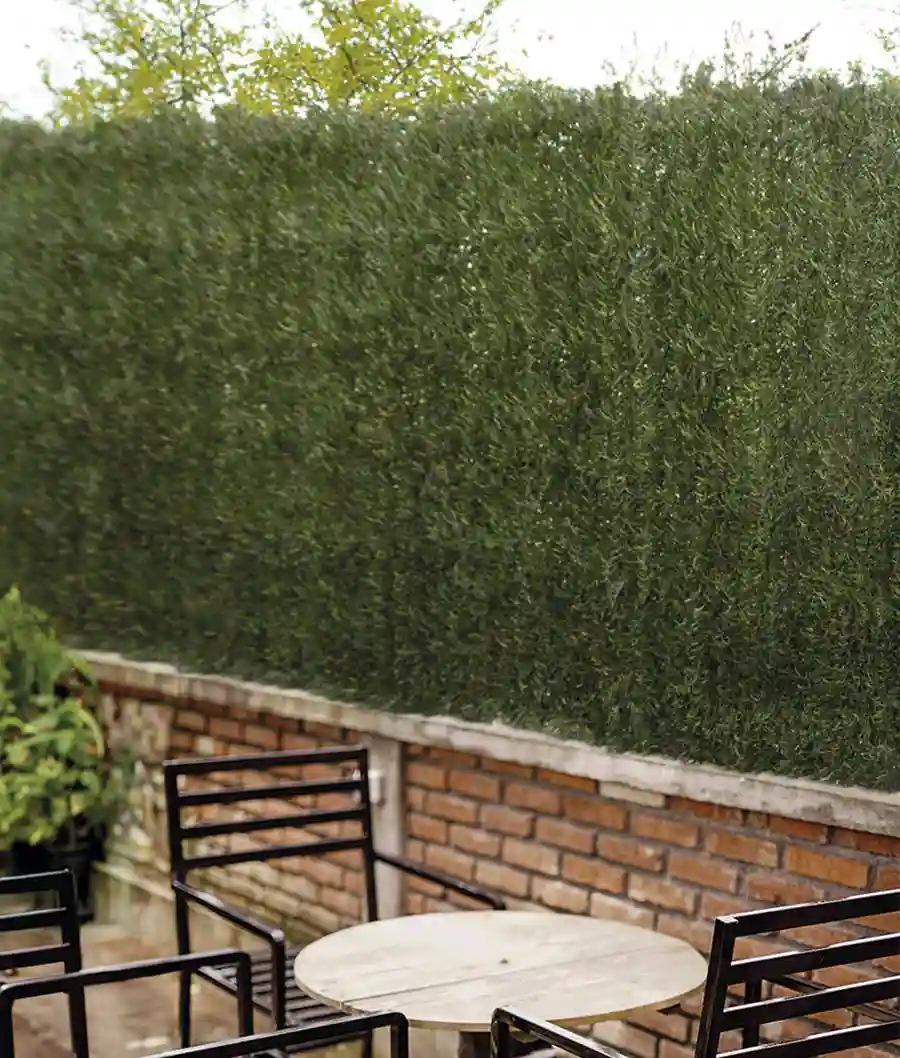 Hidecurve Bicolor 1,5 x 3 m 38v 2 Seto artificial Hidecurve jardín