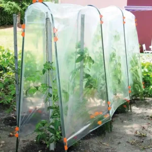 Tomato Film