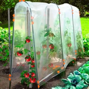 Tudores tomato tuteur