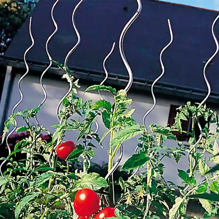 Tutor Tomato Spiral Nortene