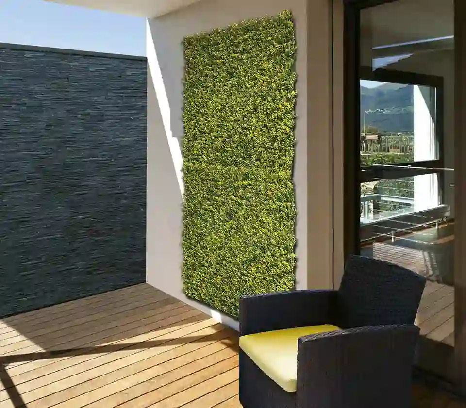 Jardin Vertical Boj 100 x 100 cm 2 Vertical Buxus Nortene
