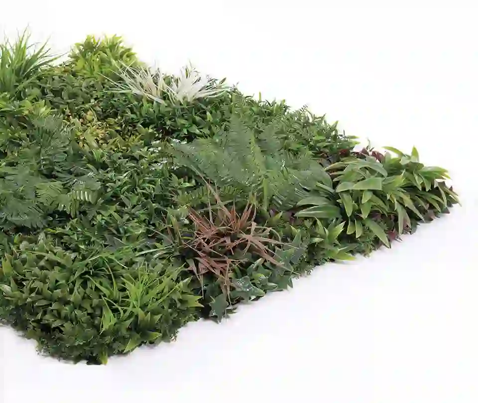 Jardin Vertical Sauvage 100 x 100 cm 3 Jardin Vertical Sauvage 100 x 100 cm - Imagen 3