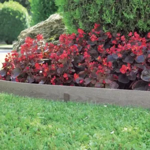 Woodtec border composite 860x860