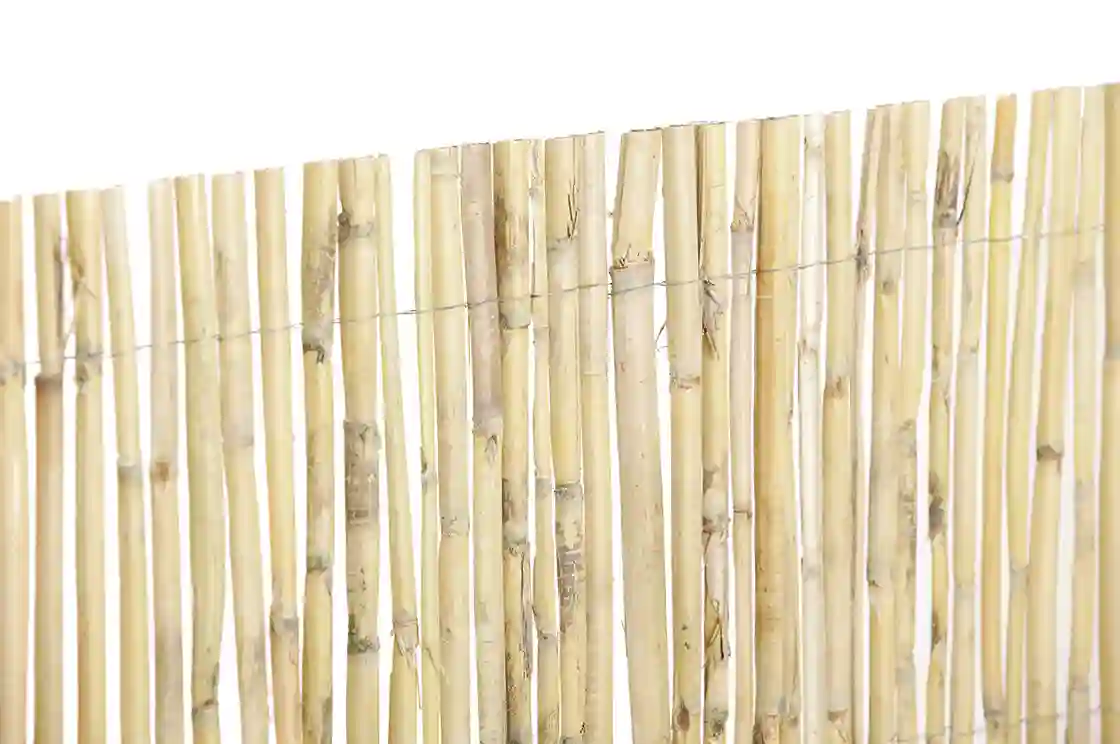 Cañizo Natural Media Caña Midcane 1,5×5 mt Nortene 3 cañizo natural midcane jardín