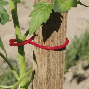 clips para tomateras