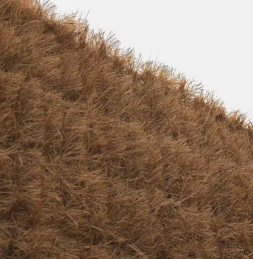 Seto Natural Coconatur 2 X 3 M 4 coconatur catral