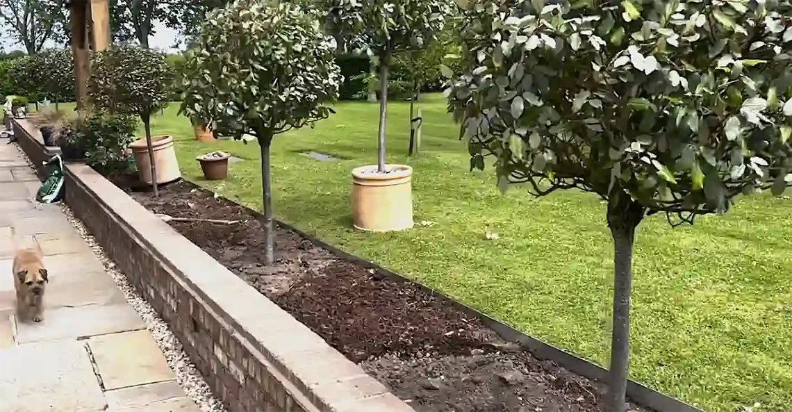bordillos de jardin