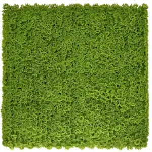musgo artificial jardin