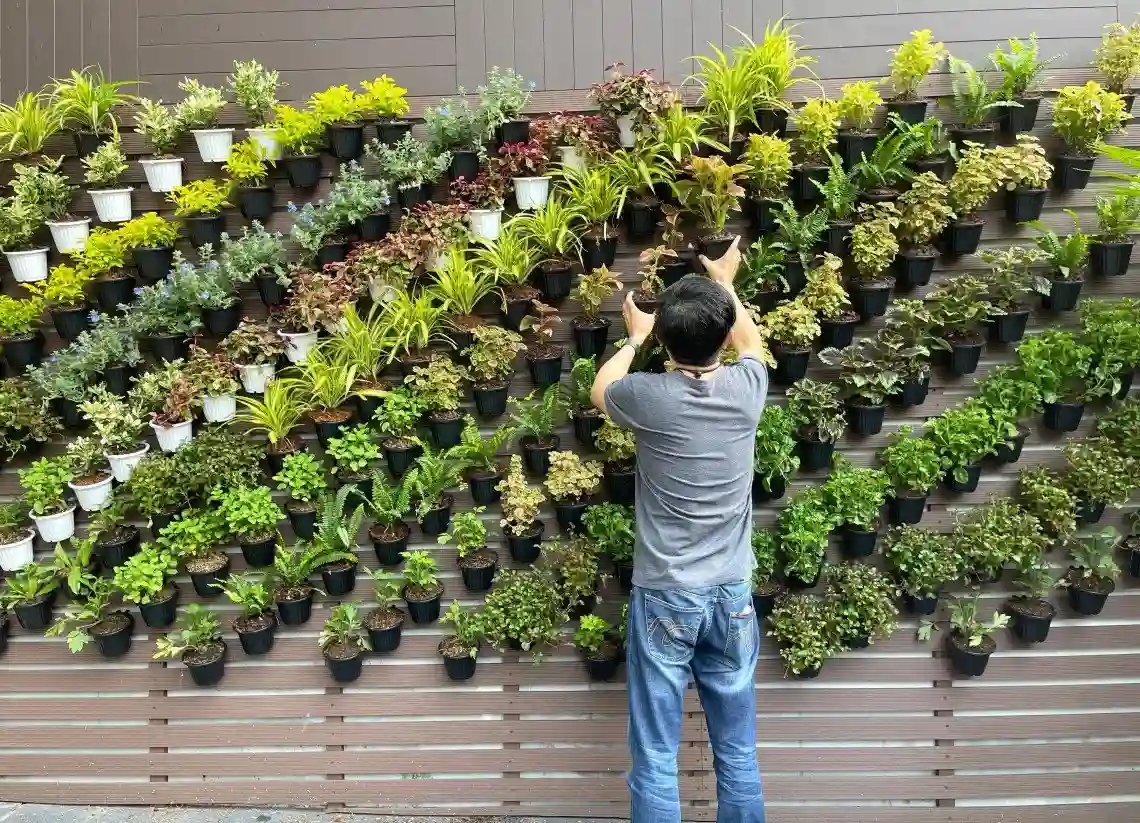 pared jardín vertical