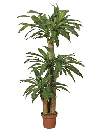 Planta Artificial Arcoiris 170 cm 1 planta artificial drácena 145 cm