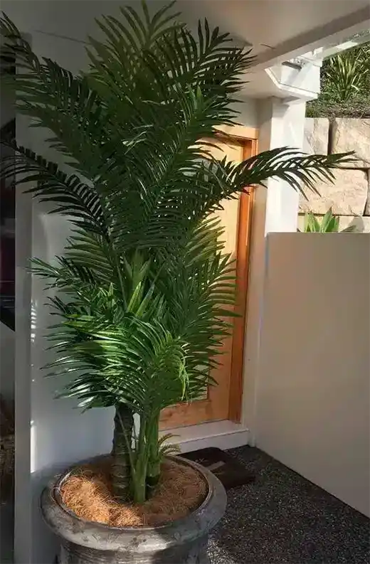 planta artificial grande palmera